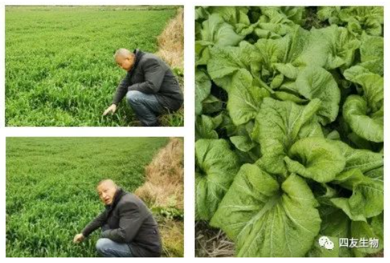 三春好时节，躬耕事乡土